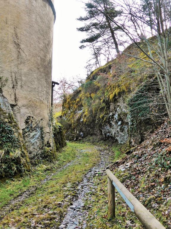 Готель Domaine Aigoual Cevennes Мейрюе Екстер'єр фото